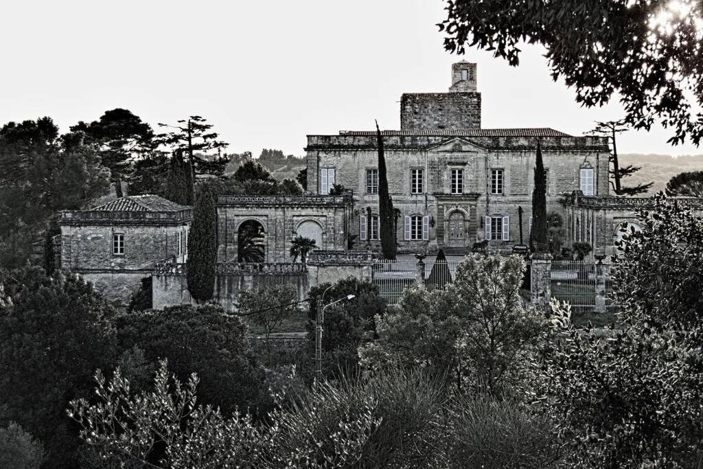 מונטפריון Studio Entre Cevennes Et Camargue מראה חיצוני תמונה